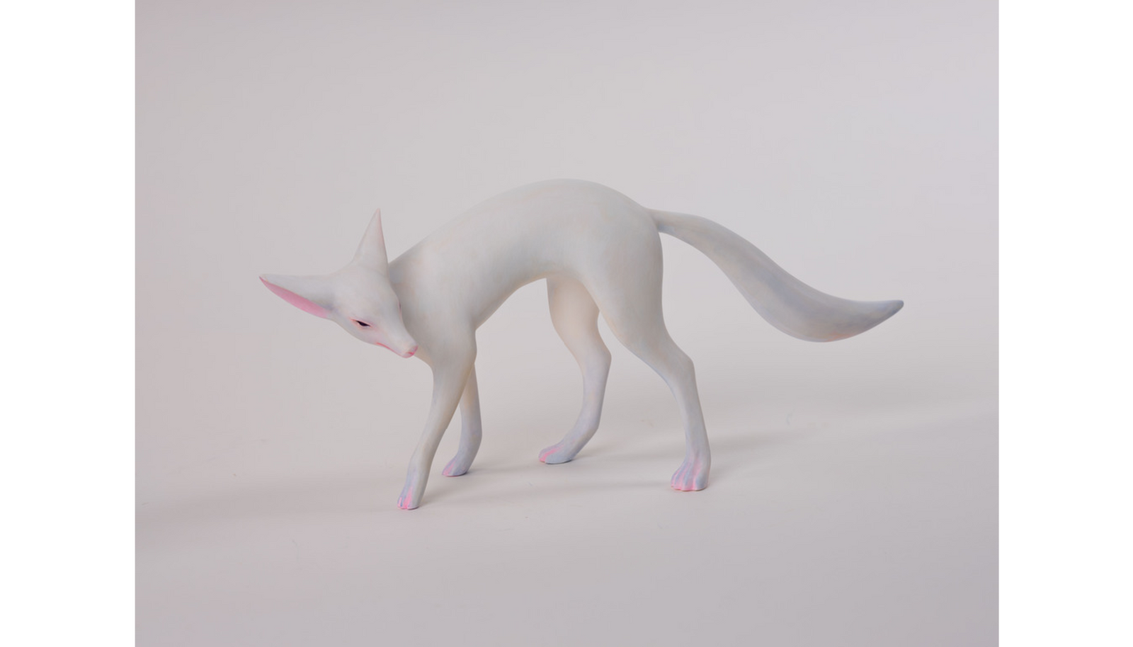 土屋仁応 Fox A