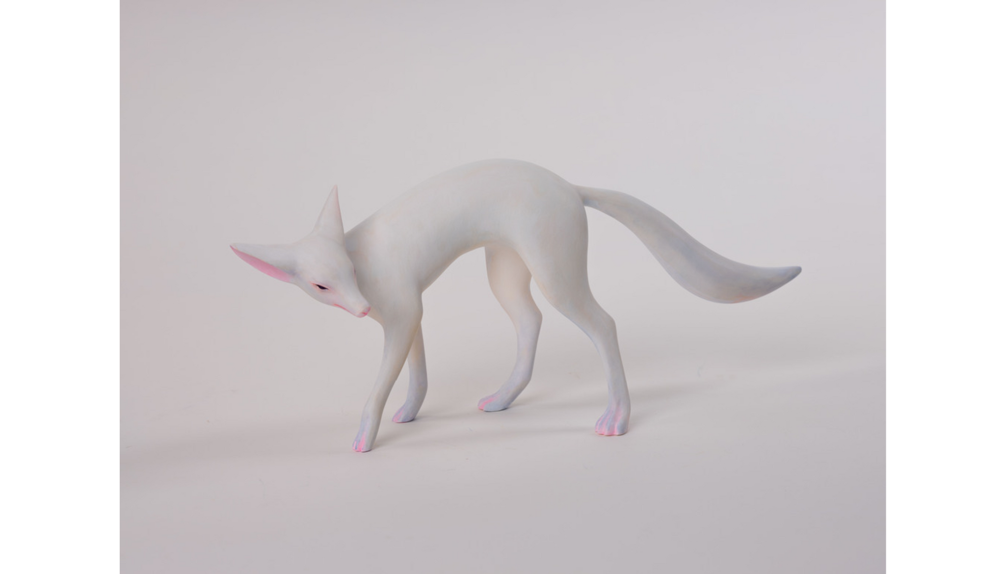 Yoshimasa Tsuchiya Fox A